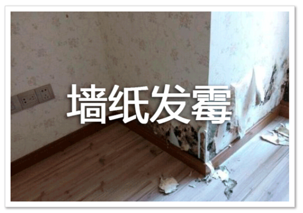 微信截图_20181129091054.png